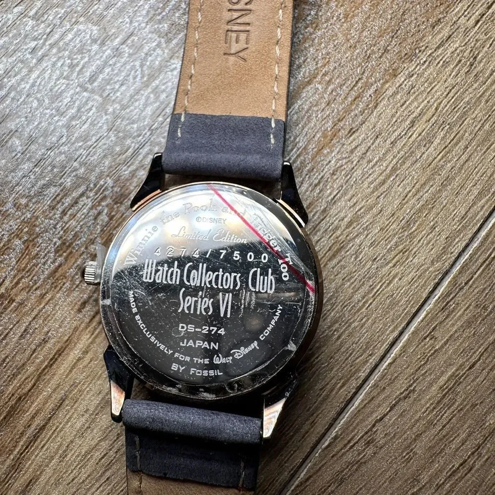 Disney WINNIE‎ THE POOH AND TIGGER TOO skittish skating Watch DS-274